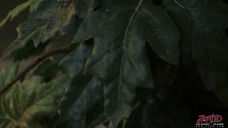 A beautiful sodomy for Victoria White