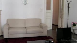 A brunette sucks a cock to make it cum