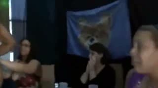 A crazy orgy in a nightclub