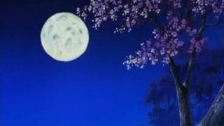 A girl who likes to get laid in doggy-style