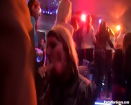 Blowjobs At The Party