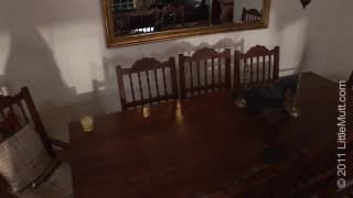 Cute little Teen stripping and masturbating