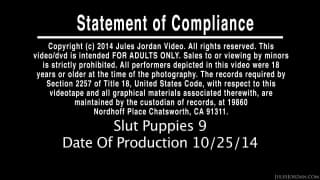 Dakota Skye gets a big dick in her ass