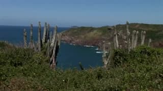 Double penetration in front of the sea