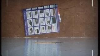 Eva is a young slut who loves to suck