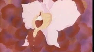 Hentai, this Geisha girl meets the perfect man