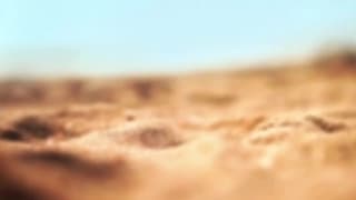 Naked women on the beach to excite us