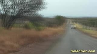 Outdoor sex that you will like a lot