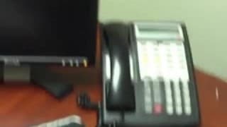 Persia Monir a beautiful secretary who loves big dicks