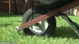 Samantha 38G is a bitch who loves gardeners