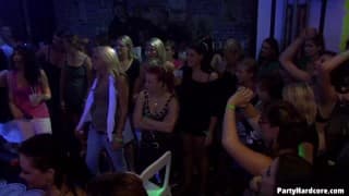 The nightclub bitches