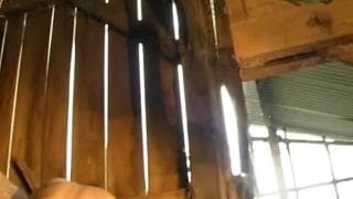 There is nothing like a good ass pounding!