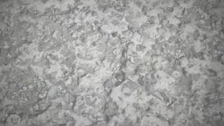 This black guy loves to penetrate this blonde