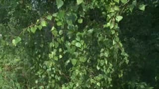 Touching pussy in the nature