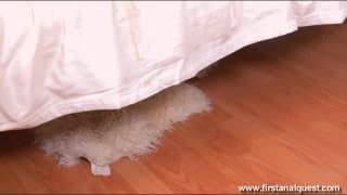 Young blonde teen for a large and deep sodomy